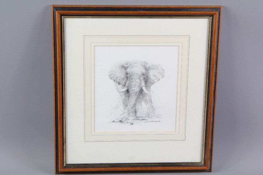 David Shepherd CBE (1931-2017) Original Pencil Drawing