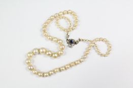 A Fine Quality Antique Row of Pearls