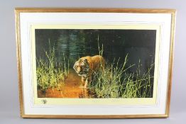 David Shepherd Wildlife Artist CBE, OBE, FGRA, FRSA Print