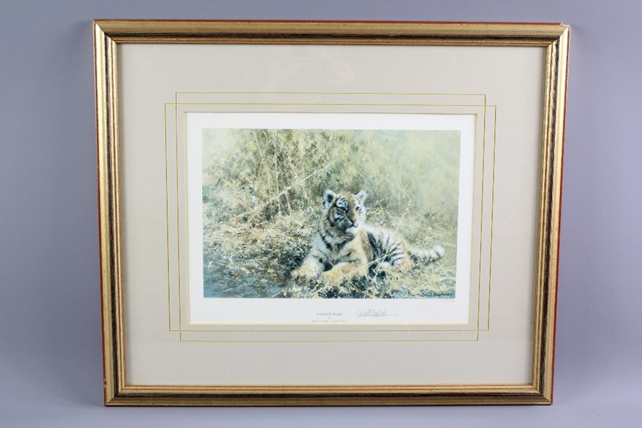 David Shepherd Wildlife Artist CBE, OBE, FGRA, FRSA Limited Edition Print