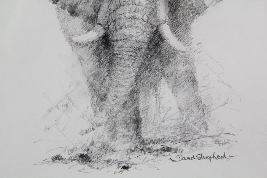 David Shepherd CBE (1931-2017) Original Pencil Drawing - Image 4 of 6