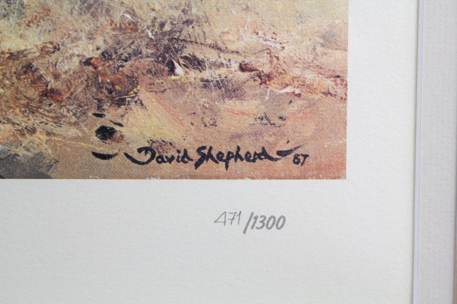 David Shepherd Wildlife Artist CBE, OBE, FGRA, FRSA Limited Edition Print - Image 5 of 5