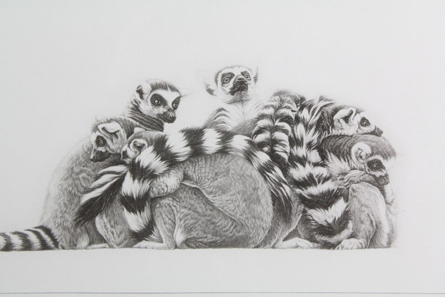 Gary Hodges Wildlife Artist (1954- ) Limited Edition Print - Image 3 of 7