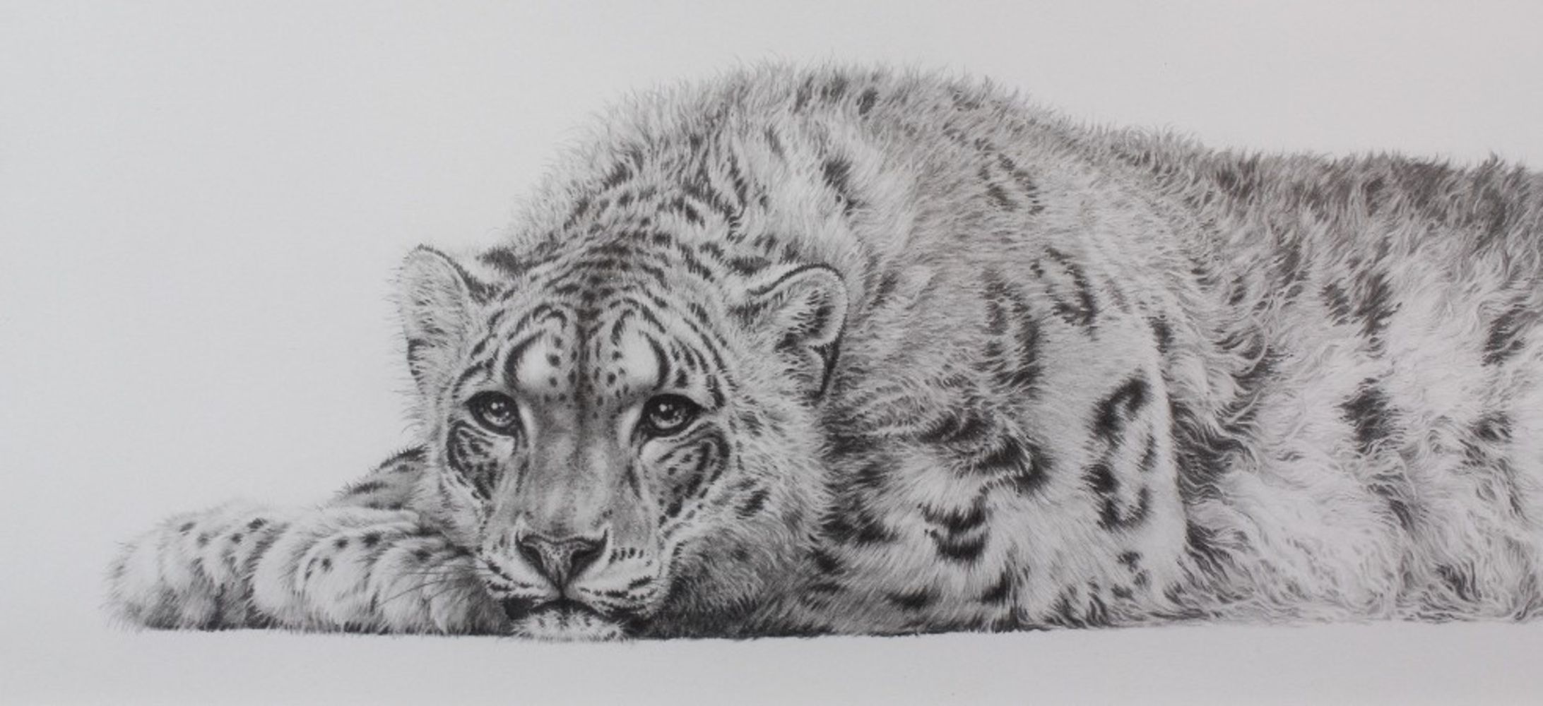 Antiques, Collectables, Jewellery & Wildlife Art Sale