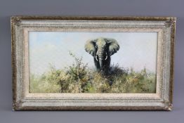 Tony Forrest Wildlife Artist Oil on Canvas