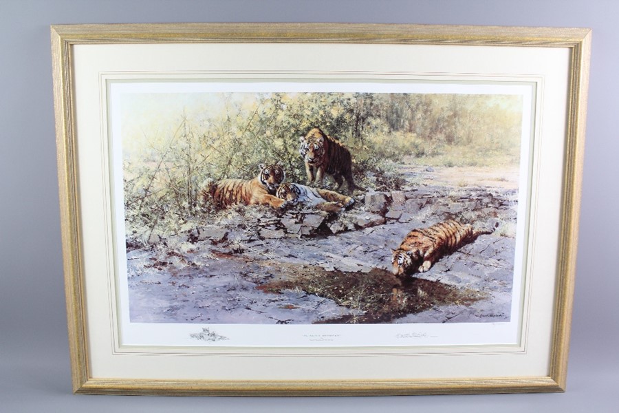 David Shepherd Wildlife Artist CBE, OBE, FGRA, FRSA Print