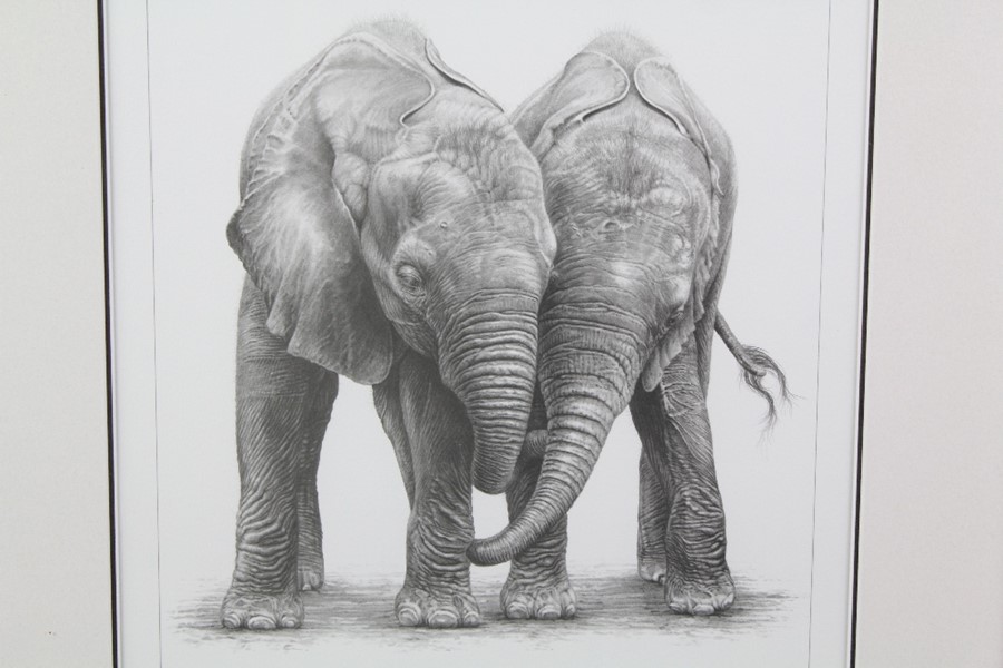 Gary Hodges Wildlife Artist (1954- ) Limited Edition Print - Image 2 of 5