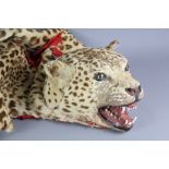 A Taxidermy Leopard Skin and Head