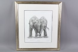 Gary Hodges Wildlife Artist (1954- ) Limited Edition Print