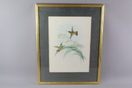 Two Victorian Coloured Lithograph - Natural World