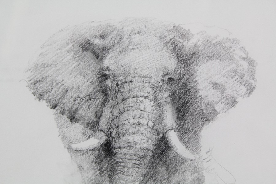 David Shepherd CBE (1931-2017) Original Pencil Drawing - Image 3 of 6