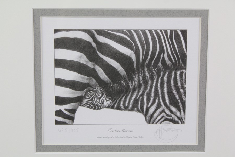 Gary Hodges Wildlife Artist (1954- ) Limited Edition Print - Image 2 of 4