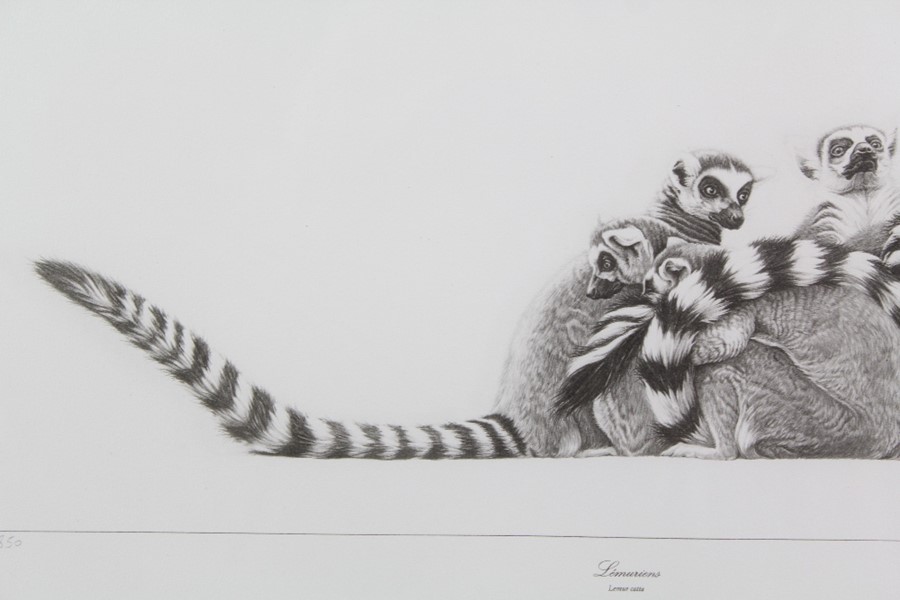 Gary Hodges Wildlife Artist (1954- ) Limited Edition Print - Image 2 of 7