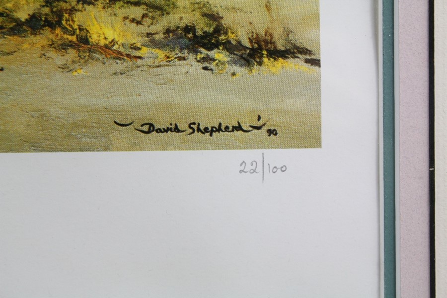 David Shepherd Wildlife Artist CBE, OBE, FGRA, FRSA Limited Edition Print - Image 6 of 8