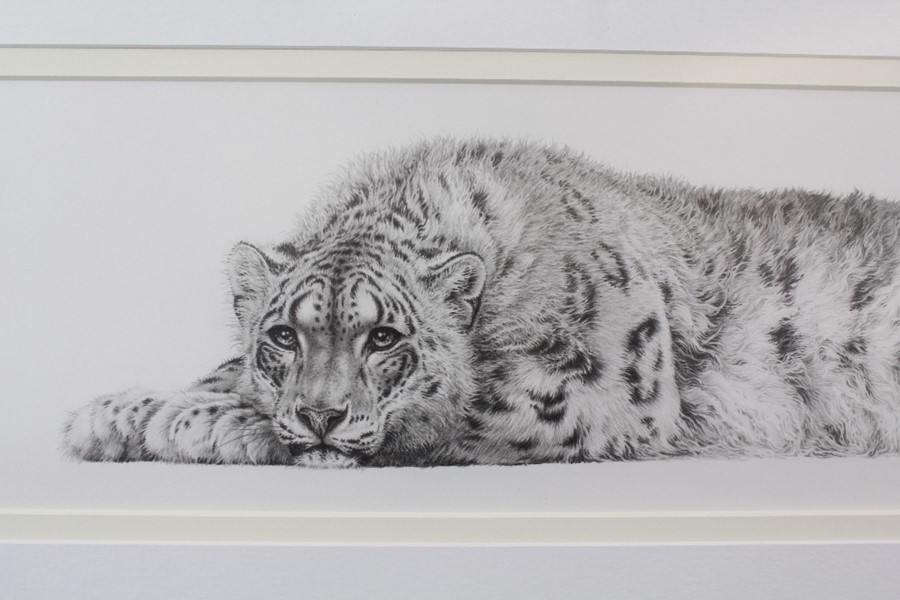 Gary Hodges (1954 - ) "Snow Leopard" - Image 4 of 10