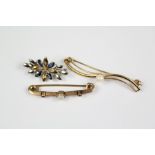 9ct Yellow, White Gold and Sapphire Pin Brooch