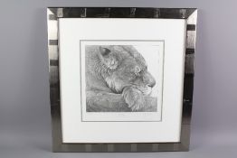 Gary Hodges Wildlife Artist (1954- ) Limited Edition Print