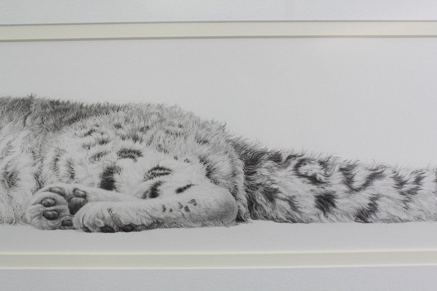 Gary Hodges (1954 - ) "Snow Leopard" - Image 6 of 10