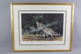 David Shepherd Wildlife Artist CBE, OBE, FGRA, FRSA Print