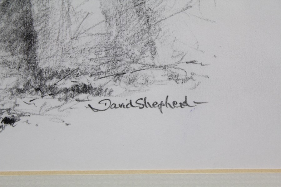 David Shepherd CBE (1931-2017) Original Pencil Drawing - Image 5 of 6