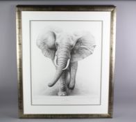 Gary Hodges Wildlife Artist (1954- ) Limited Edition Print