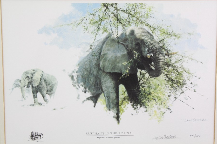 David Shepherd Wildlife Artist CBE, OBE, FGRA, FRSA Limited Edition Print - Image 4 of 8