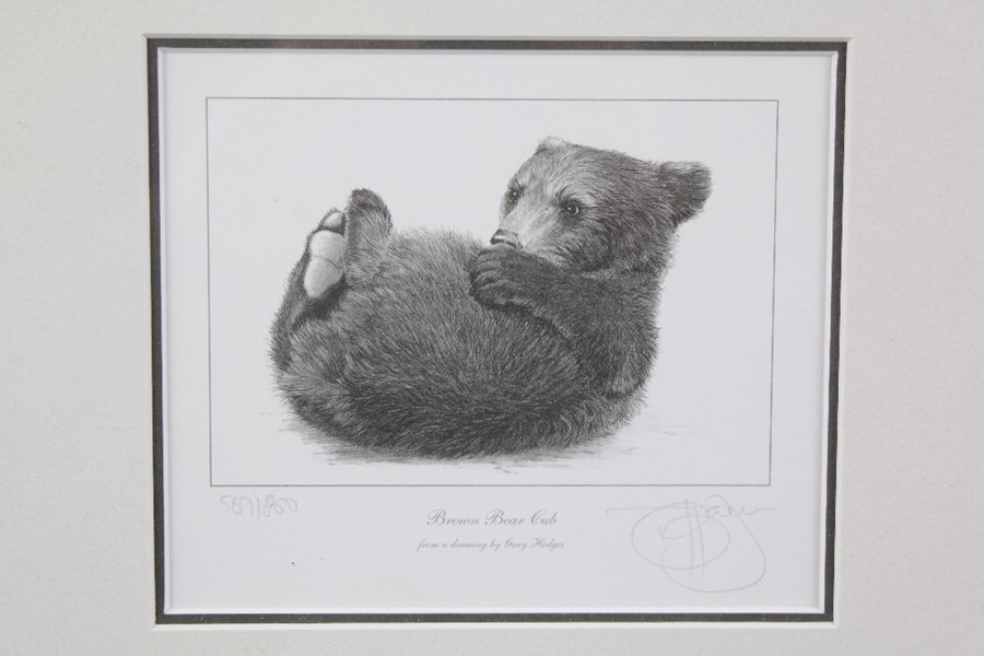 Gary Hodges Wildlife Artist (1954- ) Limited Edition Print - Image 2 of 9