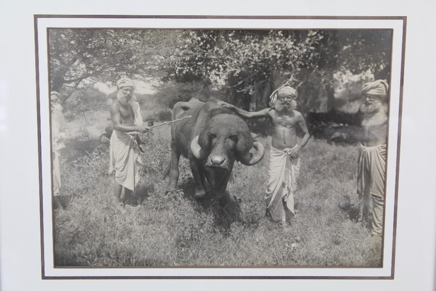 A Vintage Black and White Indian Photograph - Image 2 of 2