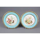 Two Hand-painted Cabinet Plates