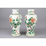 A Pair of Chinese 19th Century Famille Vert Vases