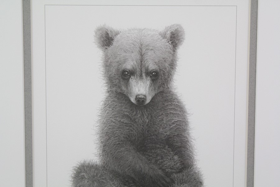 Gary Hodges Wildlife Artist (1954- ) Limited Edition Print - Image 7 of 9