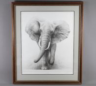 Gary Hodges Wildlife Artist (1954- ) Limited Edition Print