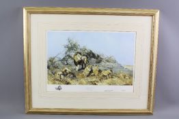 David Shepherd Wildlife Artist CBE, OBE, FGRA, FRSA Limited Edition Print