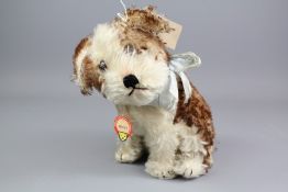 A Vintage 1950's Molly 'Hedgehog' Steiff Doll