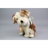 A Vintage 1950's Molly 'Hedgehog' Steiff Doll