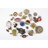 Miscellaneous Military and Nursing Badges