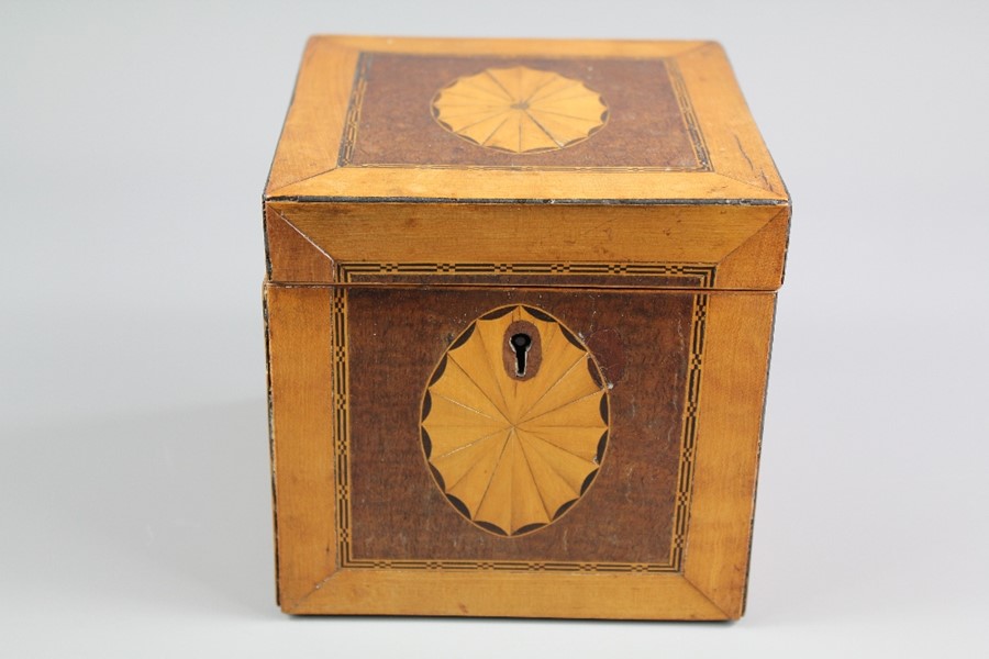 An Antique Satin Wood Tea Caddy