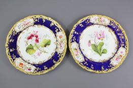 English Porcelain Cabinet Plates