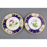 English Porcelain Cabinet Plates