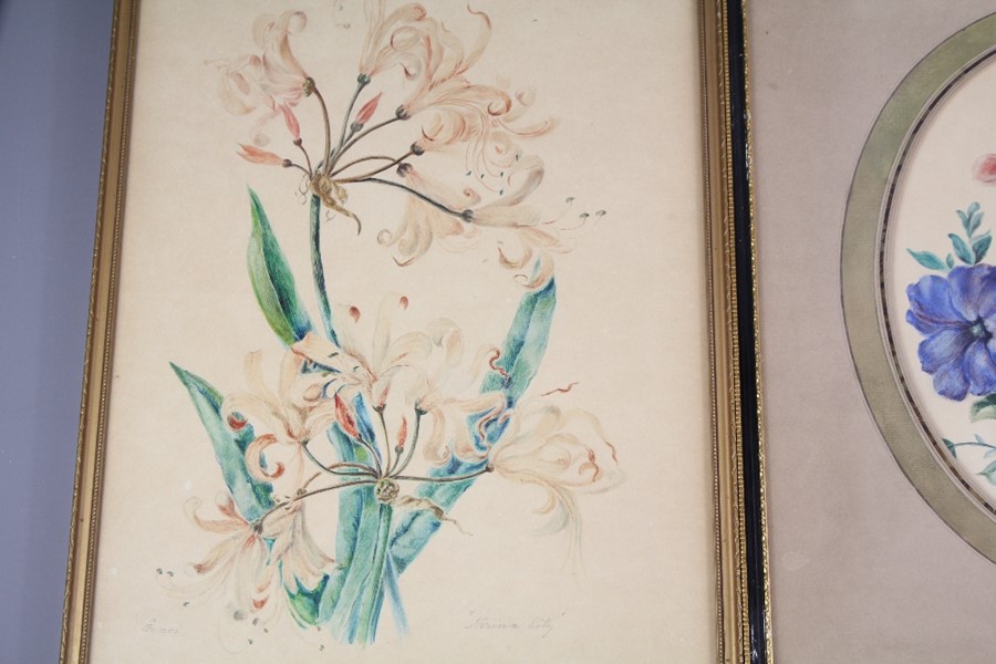Two Early 20th Century Watercolours - Image 2 of 2