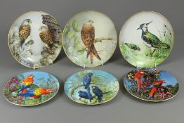 Porcelain Plates Depicting Various Birds