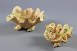 Two Royal Worcester Blush Ware Clam Shells
