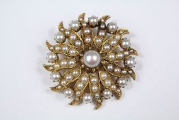 An Edwardian 9ct Yellow Gold and Pearl Brooch