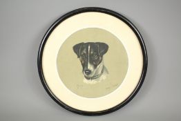 Amy Scott (1860-1950) - Oval Portrait of a Jack Russell