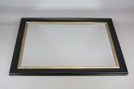 Contemporary Mirror