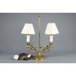 A French Brass Gilt and Porcelain Lamp