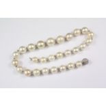 Cultured Pearl Necklace