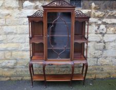 Edwardian Mahogany Display Cabinet