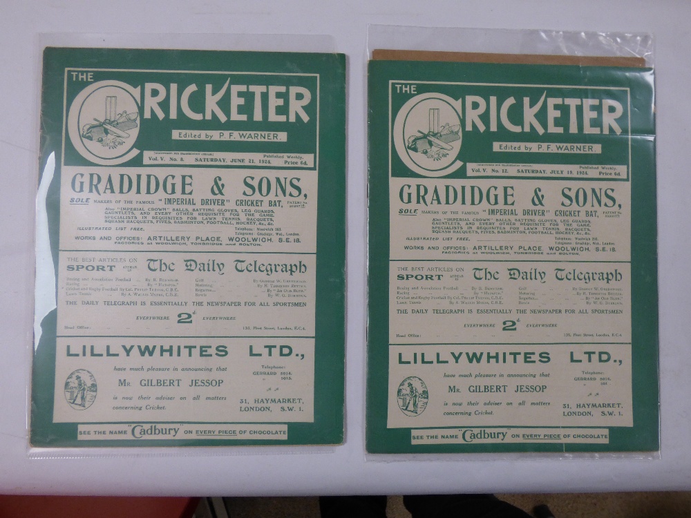 A QUANTITY OF CRICKET EPHEMERA INLUDING SIX WISDEN ALMANACS - 1980, 81, 83, 90, 94, 96 - Image 5 of 6