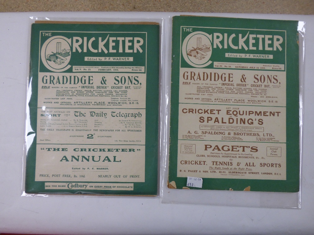 A QUANTITY OF CRICKET EPHEMERA INLUDING SIX WISDEN ALMANACS - 1980, 81, 83, 90, 94, 96 - Image 4 of 6